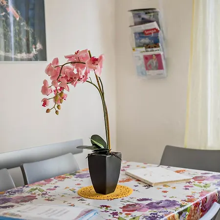 بيت للعطل Casa Elena San Bernardino Verbano
